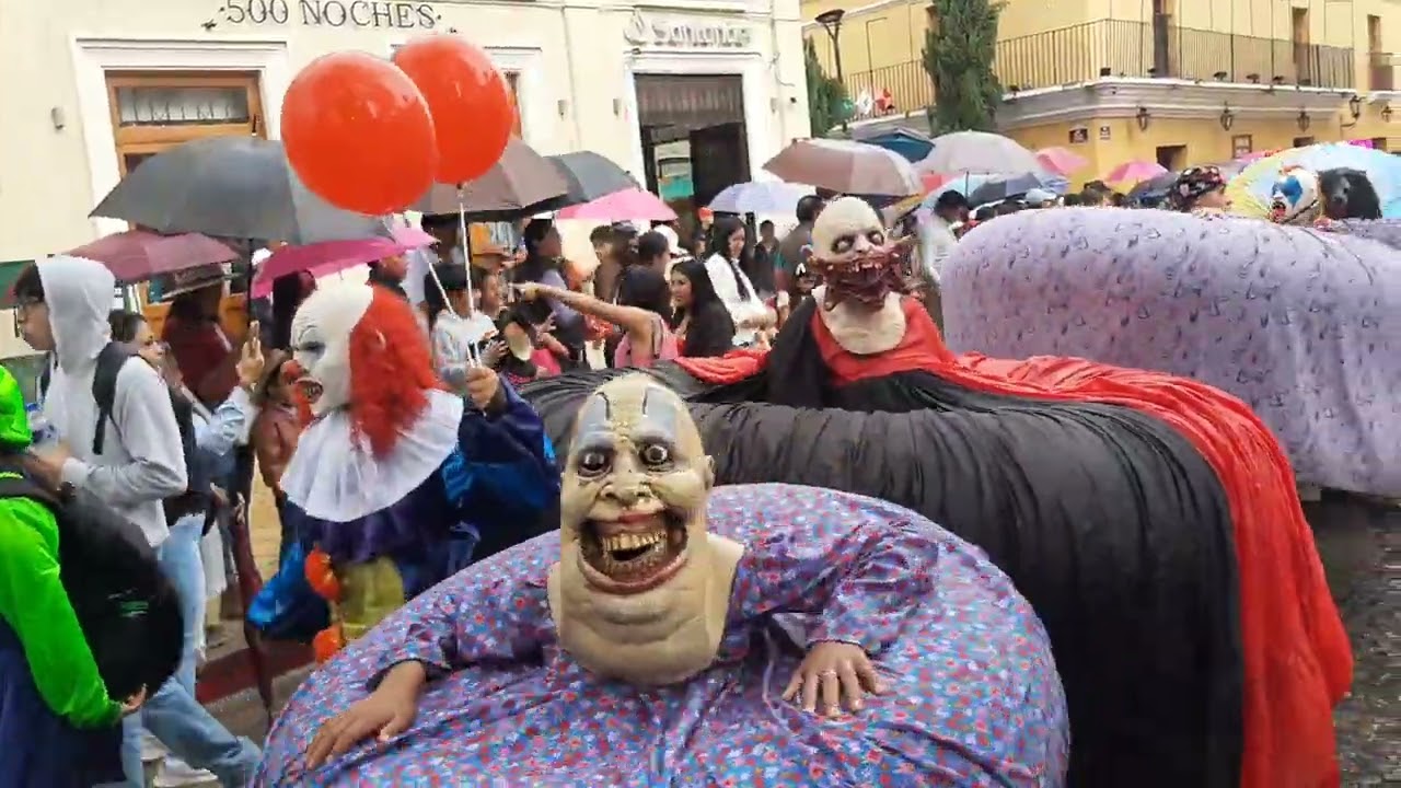 Follaje del barrio de San Ramón 2025