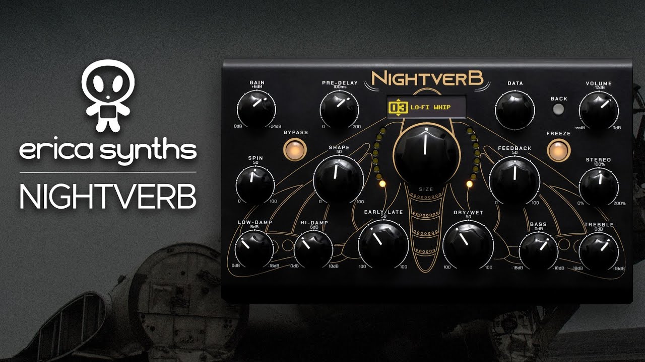 Erica Synths Nightverb Demo (no talking with TWISTfm and SH-01a