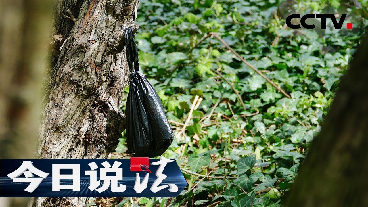 《今日说法》 “5436”侦查终结（上）：拾荒者发现黑色塑料袋中残肢 竟是15年前失踪的毕业大学生？ 20190720 | CCTV今日说法官方频道