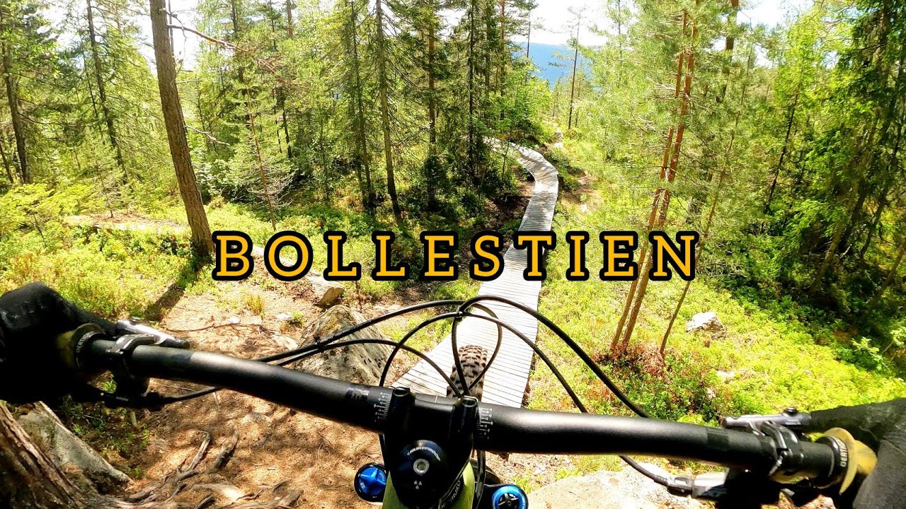 Bollestien