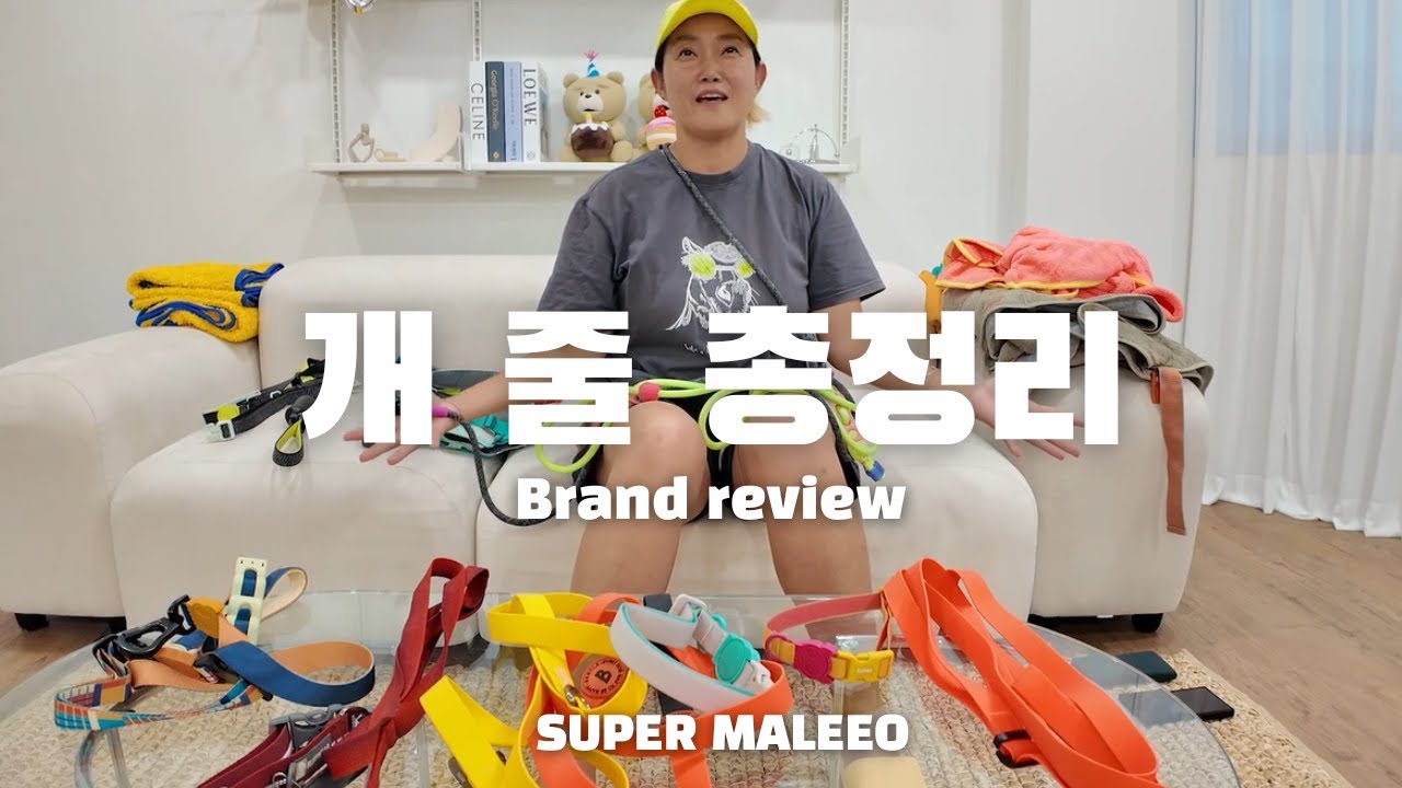 내돈내산, 반려견 개줄 이것만 보세요! 셰퍼드 맘이 추천하는 브랜드 리뷰