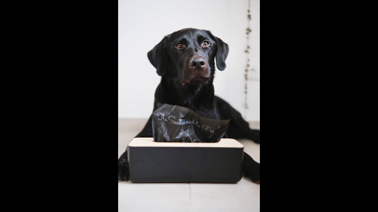 DIY Kotbeutel Box