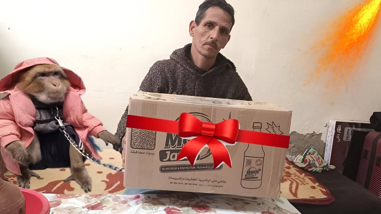 حبابنا مكينساوناش🤗احسن كادو وصلنا ليوما🎁♥️