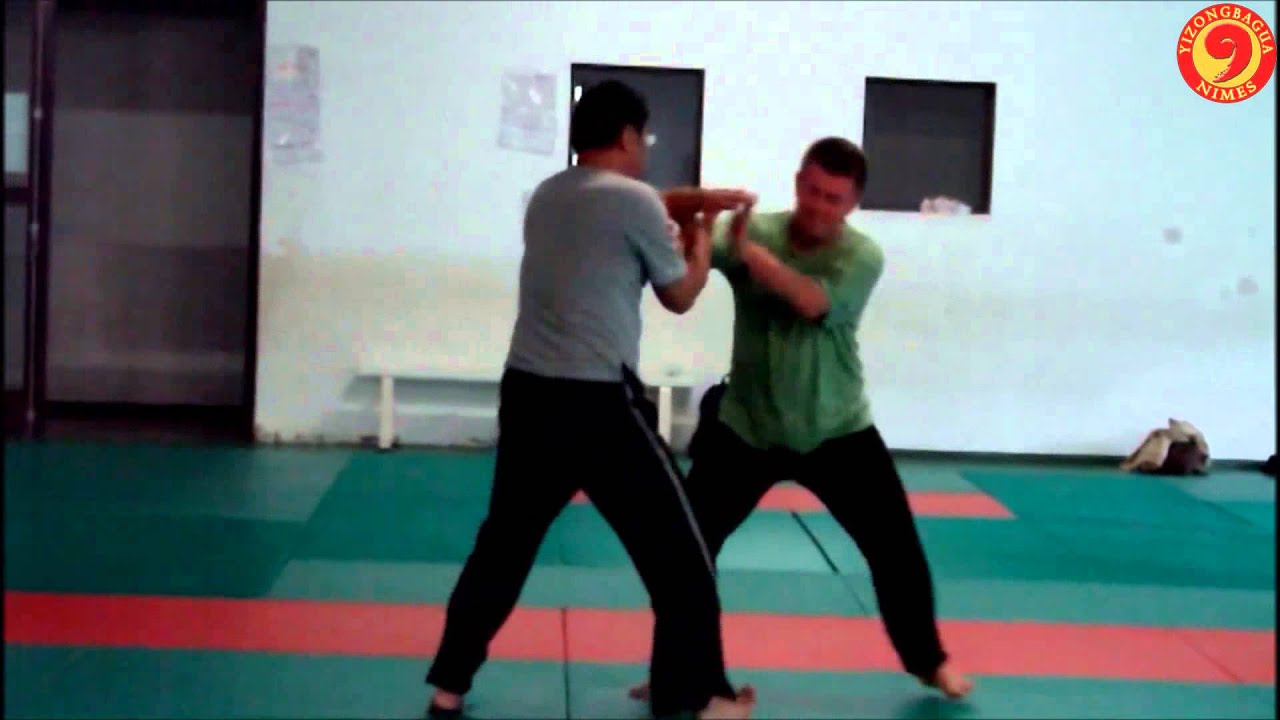 Luo Dexiu Nimes 2013