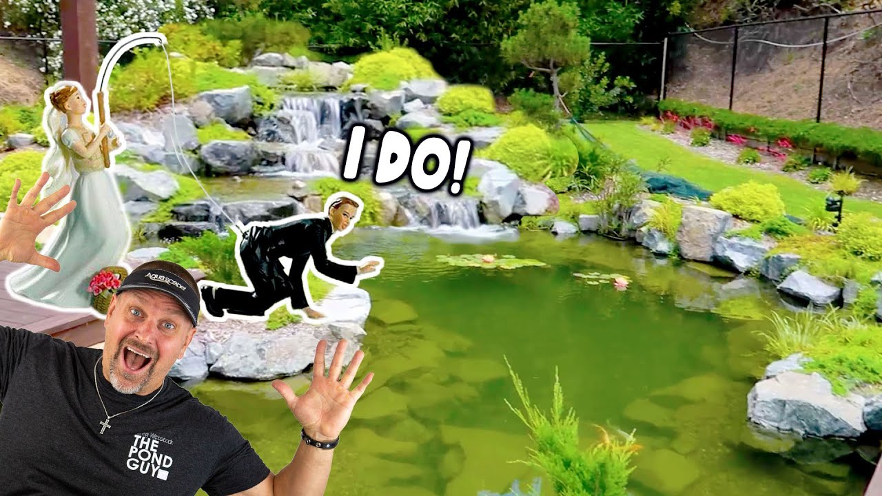 Wedding-Worthy *KOI POND* in Bel Air!