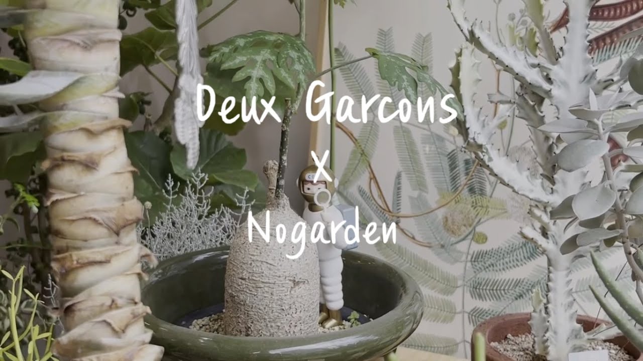[집순이 취미생활] 두갸르송 토분 구매기/ Deux Garcons pottery(두갸르송 토분)/ Nogarden(노가든)/ 두갸르송 식재 Vlog/