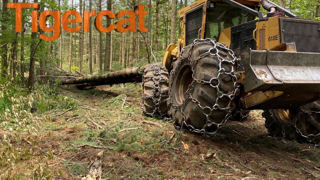 Tigercat 610E Skidding Big Pine: Impressive Logging Machine in Action