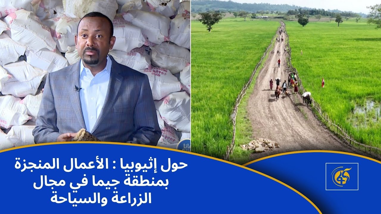 حول إثيوبيا : الأعمال المنجزة بمنطقة جيما في مجال الزراعة والسياحة