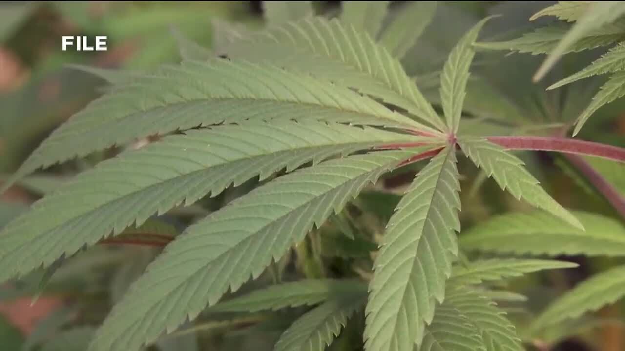 Group working to expand access to medical marijuana in central Virginia