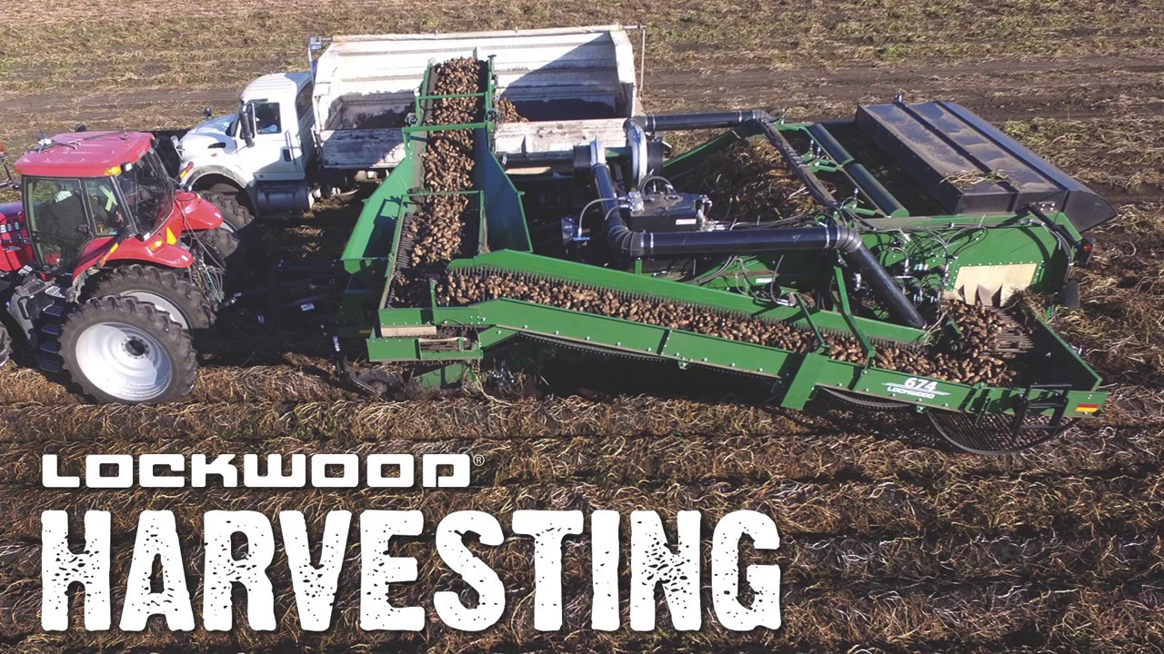 Lockwood Harvesters 2017