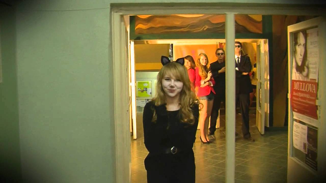 Lipdub II Liceum Ogólnokształcące im. Generałowej Zamoyskiej i Heleny Modrzejewskiej w Poznaniu