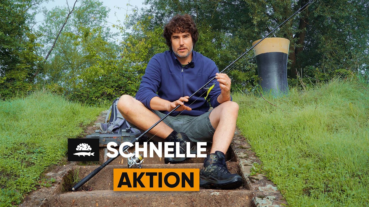 Zander - Kombo | Fisch und Grips