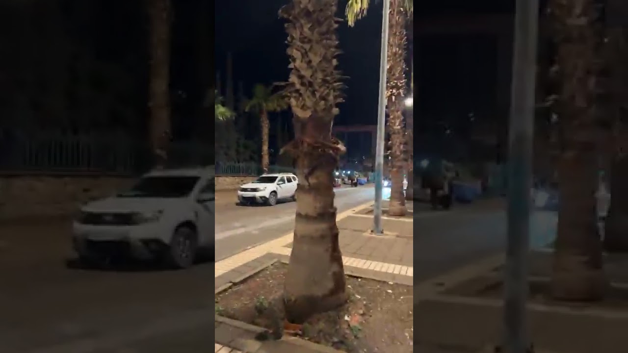 مباشرة من وجدة: جولة ليلية بشوارع عاصمة الشرق.. منين كتابعوا قناة الشعب؟