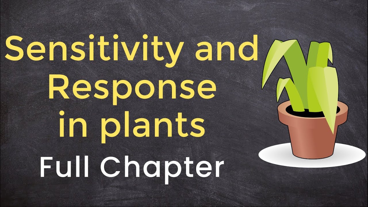 WBBSE class 10 life science chapter 1 | Sensitivity and response in plant | Madhyamik class 10 |😇😇