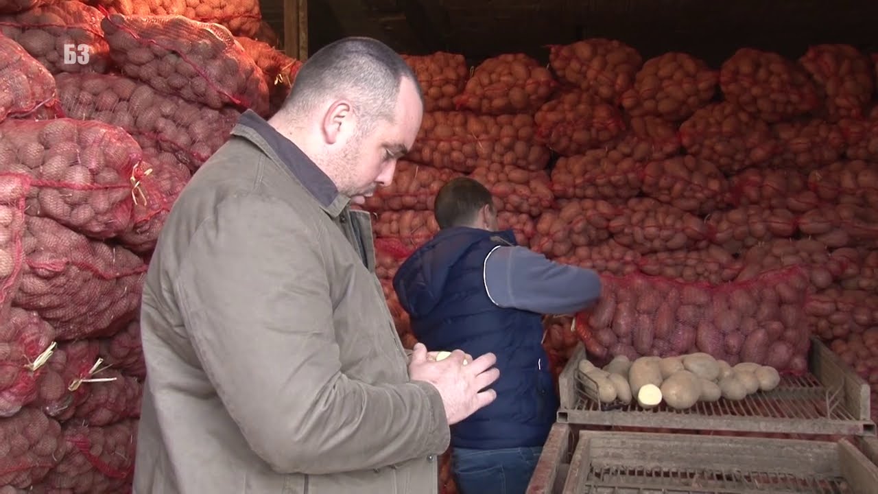 POLJOPRIVREDNICI PO BRDIMA u zapadnoj Srbiji - ZAŠTO KROMPIR truli po skladištima ? Igra - EU - ...
