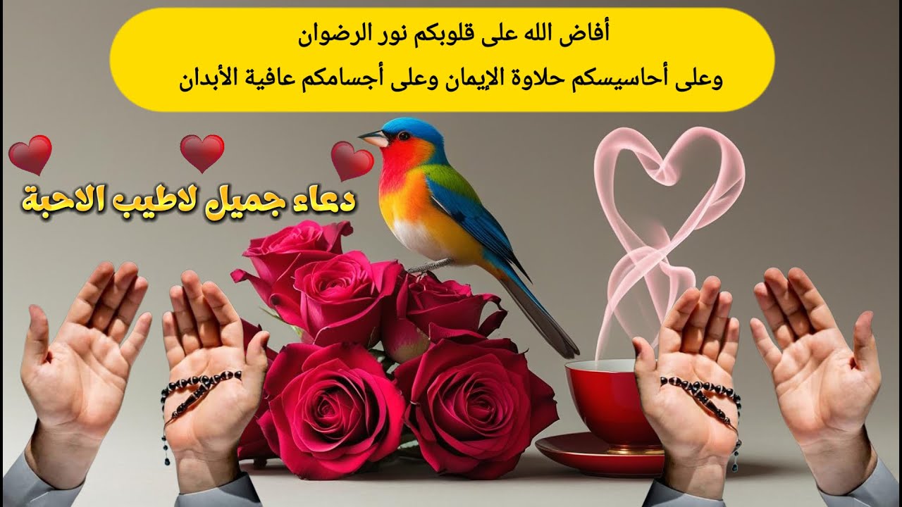 اللهّم ياصآحب اللطف الخفي والوعد الوفي بك نستعين وبك نكتفي♥دعاء جميل♥