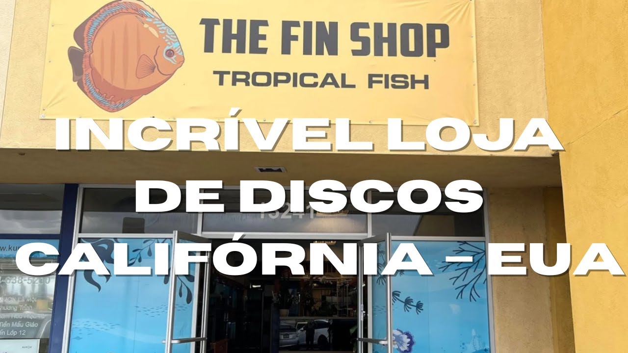 ACARÁ DISCO NOS EUA! 🇺🇸