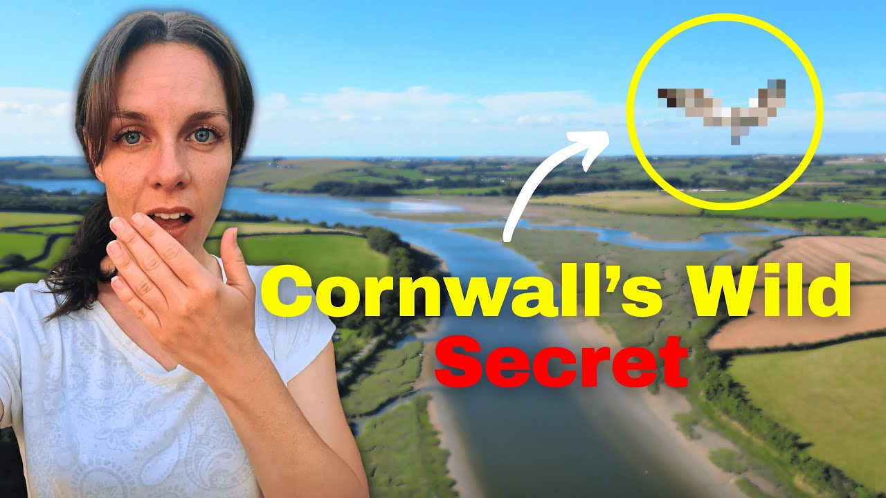 What We Found on CORNWALL'S CAMEL TRAIL Will Surprise You