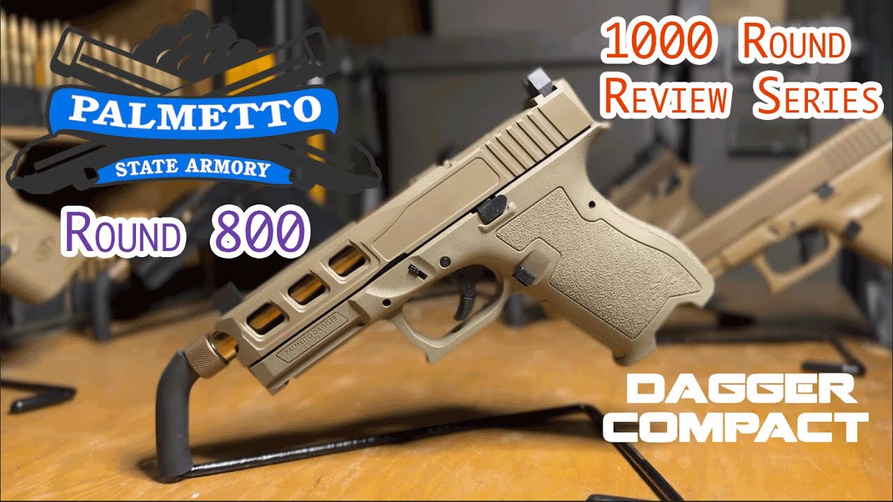 Palmetto State Armory Dagger Compact | 1,000 Round Review Series | Round 800 Update!