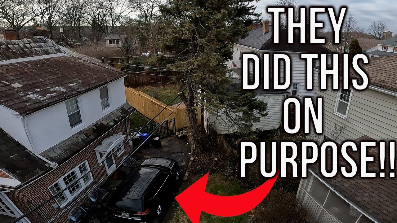 They REFUSED To Move Their Car Under This Tree Removal!