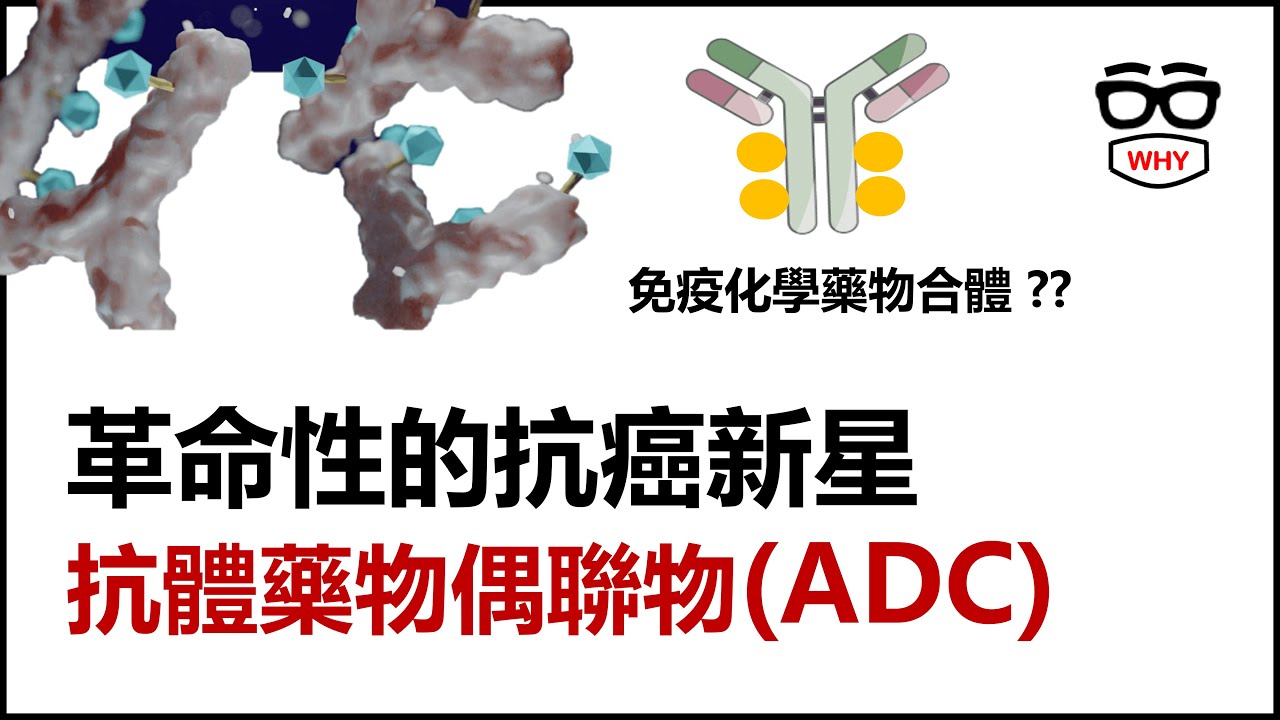 抗癌「導彈」出擊！抗體藥物偶聯物是什麼？｜癌症治療最新革命