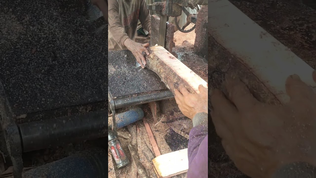 kayu tahu  