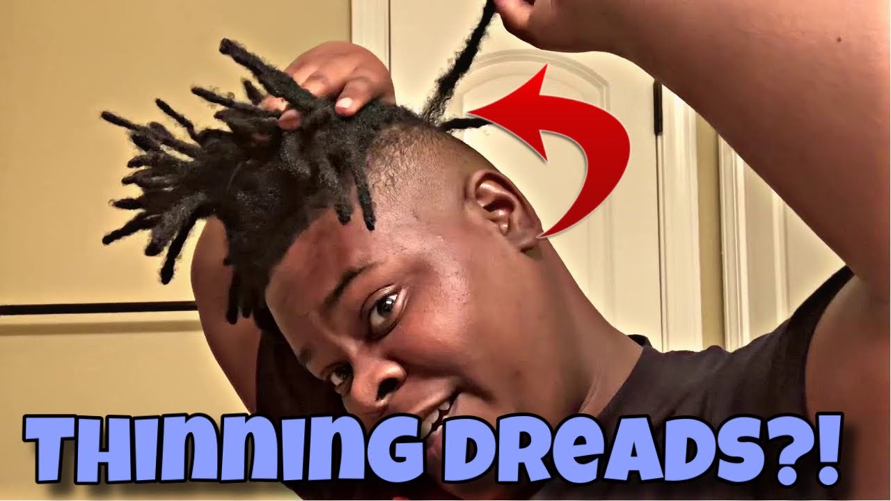 THINNING DREADS?! (Hightop Semi-freeform Dreads)