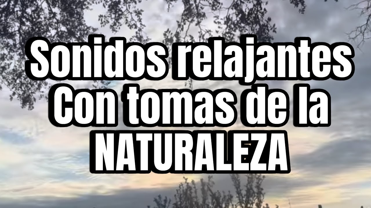 Sounds of peace and relaxation, a typical day in the peaceful countryside 🌿🌿🍀🍃🍂