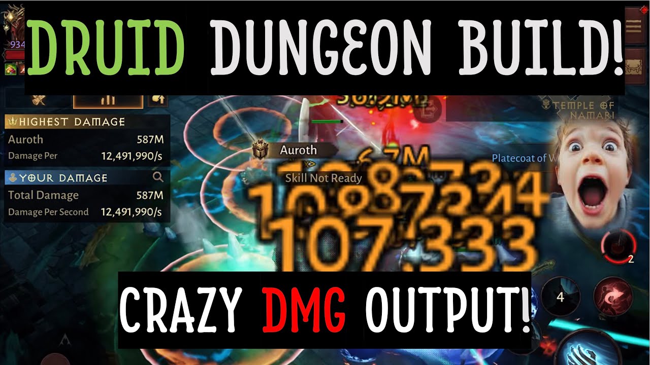 DRUID DUNGEON BUILD - I did not expect this MASSIVE dmg output! (Full breakdown and tutorial)
