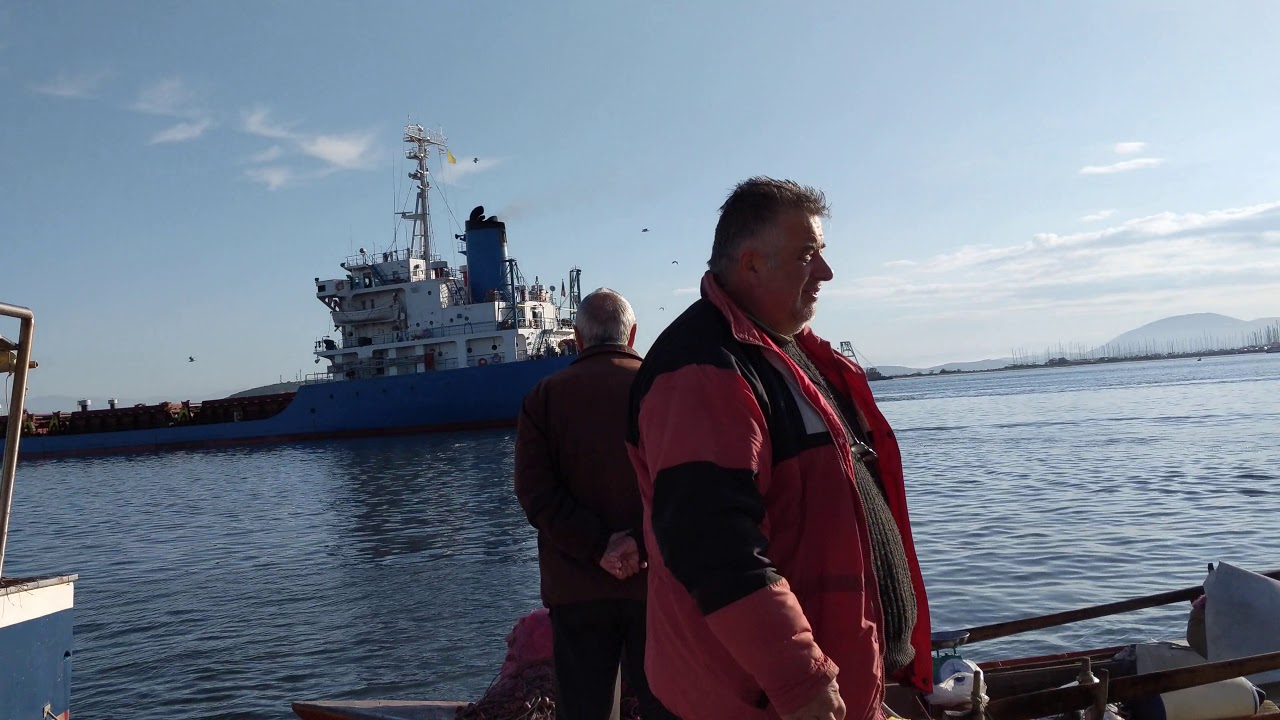 Preveza's Harbor Market - Fresh Fish Greece