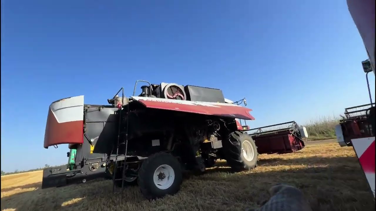 Один день из жизни комбайнера ACROS 550!!! Уборка яровой пшеницы в Республике Калмыкия. ЖАТВА 2025.