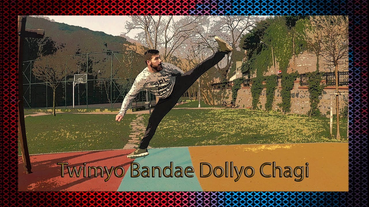 Zıplayarak Döner Tekme (twimyo  bandae  dollyo  chagi)