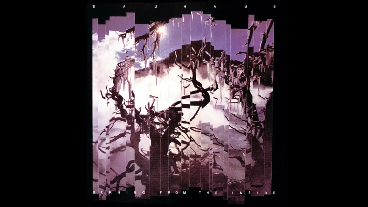 Bauhaus - She’s In Parties (Instrumental)