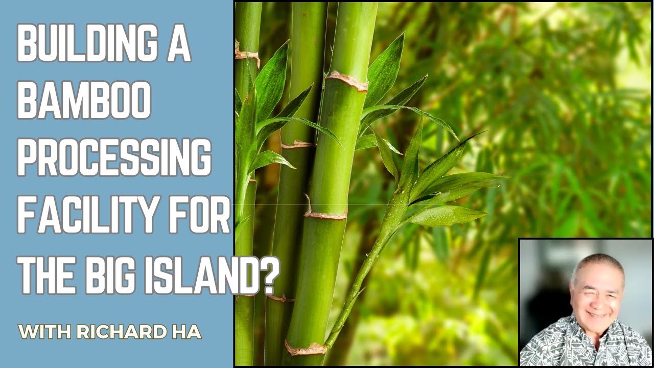 Big Island:  Is It Finally Time for a Bamboo Processing Facility Here?