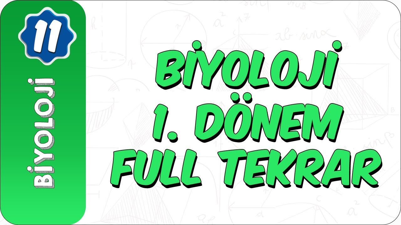 11. Sınıf Biyoloji | 1. Dönem Full Özet