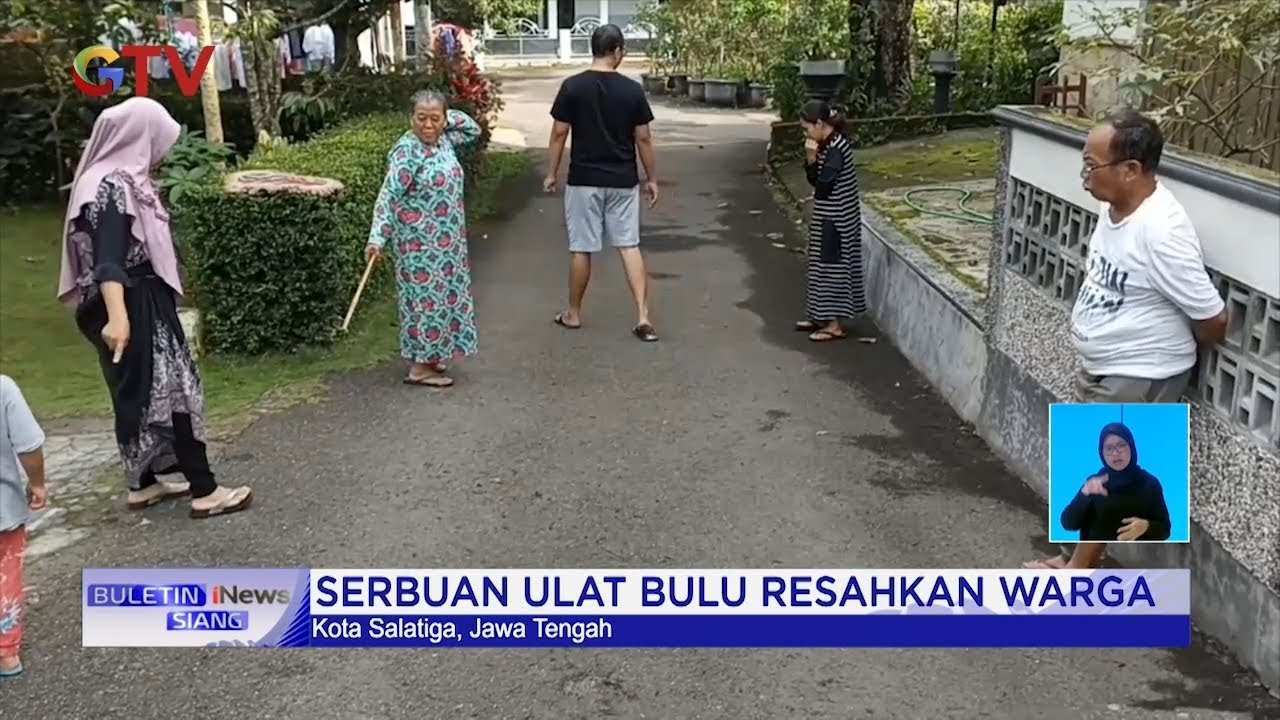 Ribuan Ulat Bulu Serbu Permukiman Warga di Salatiga, Jateng #BuletiniNewsSiang 10/06