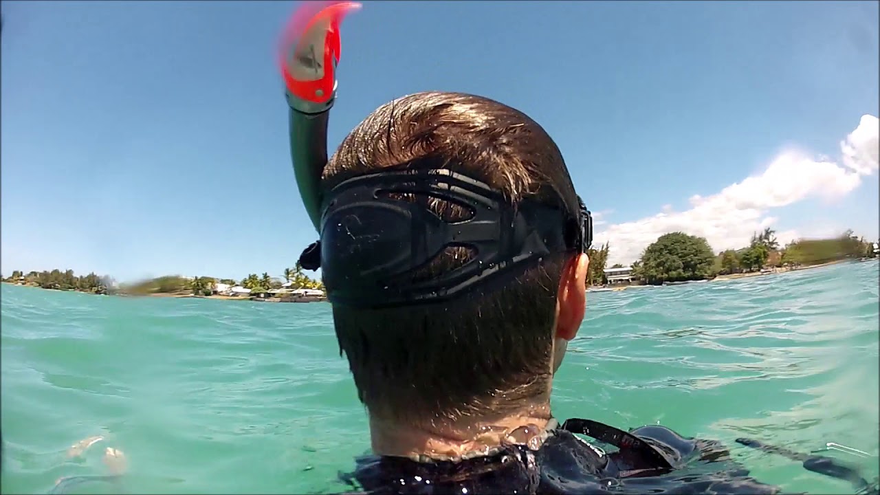 Explore Mauritius - Diving with dolphins and sharks
