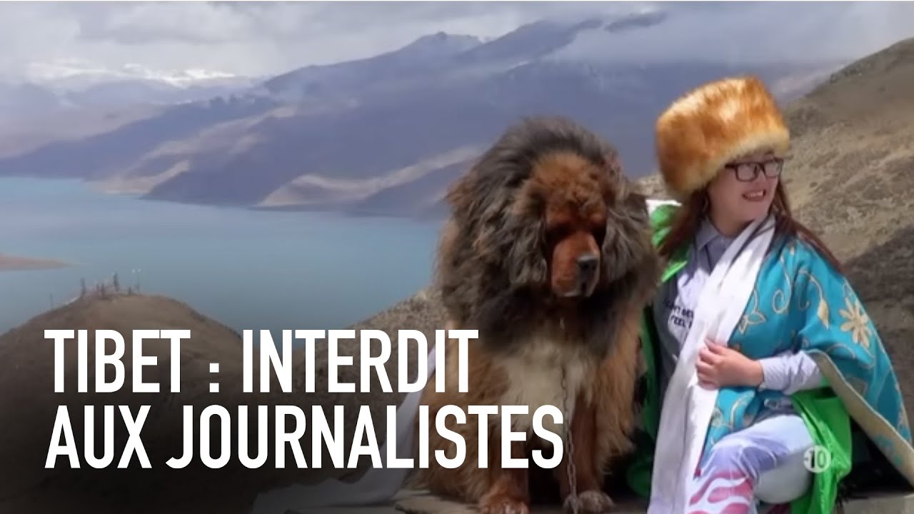 Tibet : Dictature Tour - L’Effet Papillon