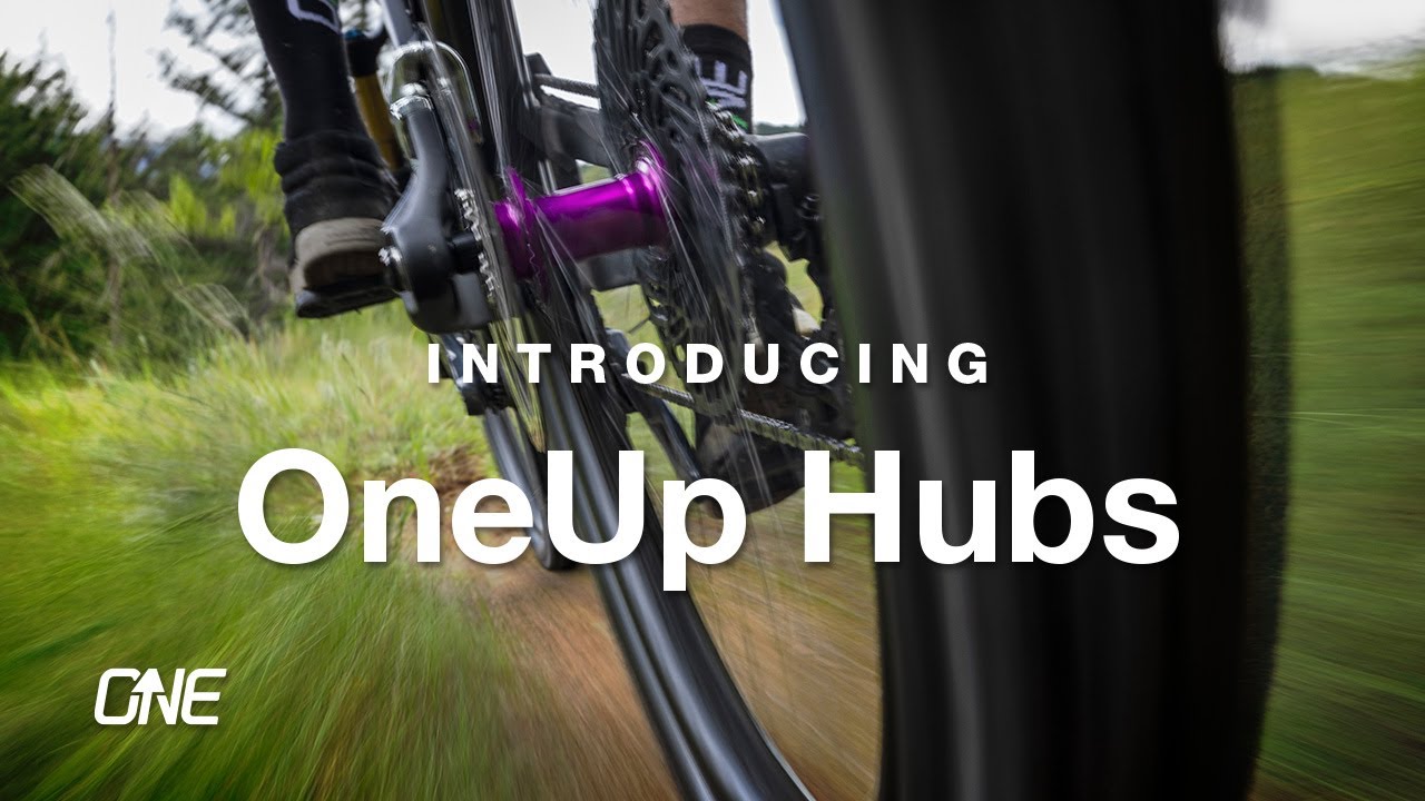 NEW OneUp Components Hubs