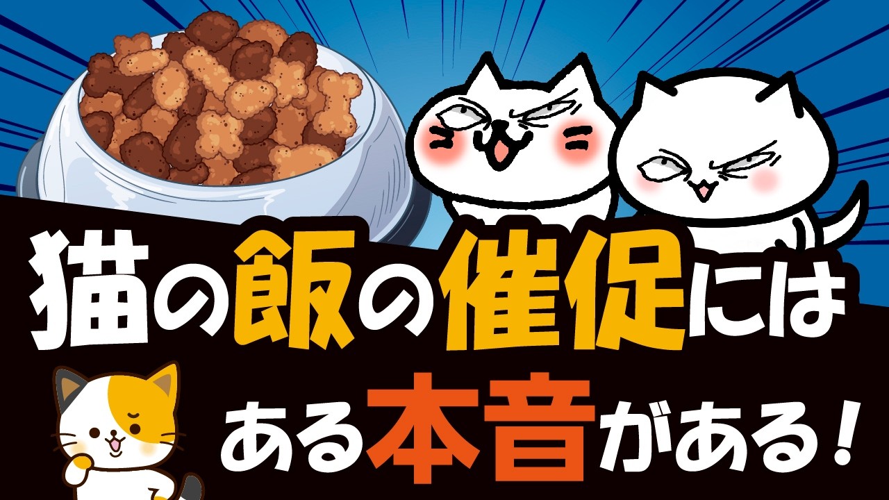 【驚き！】猫がご飯をねだる本当の理由！7つの隠された心理を徹底解説