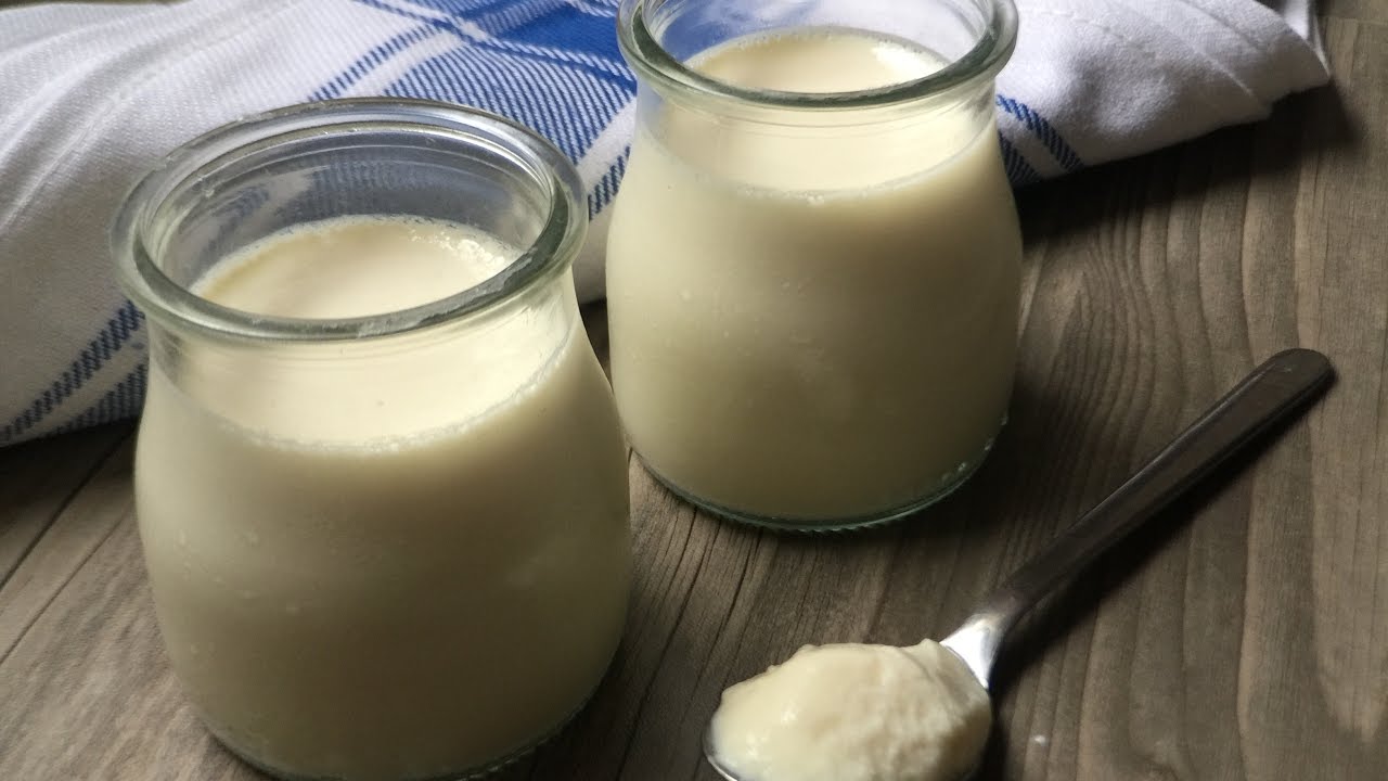 Yogur natural ❤️ Monsieur Cuisine, SilverCrest Lidl