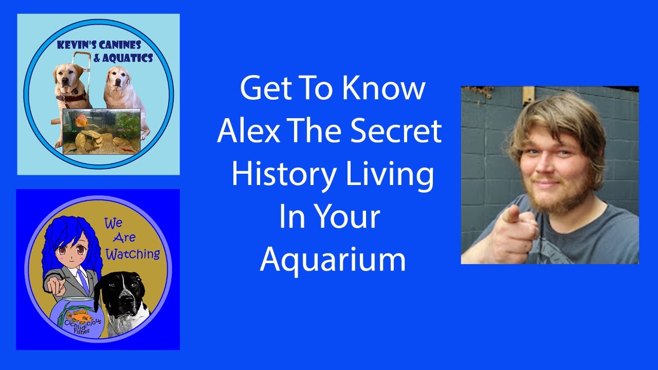 Sunday Night Spotlight: Get to Know Alex, The Secret History Living in Your Aquarium