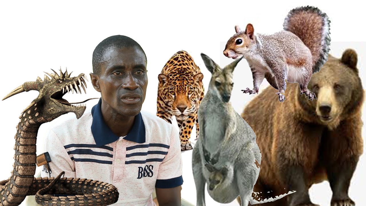 🥺 UNBELIEVABLE, All the biggest hunters shares their encounter with SPIRIT and wild ANIMALS.