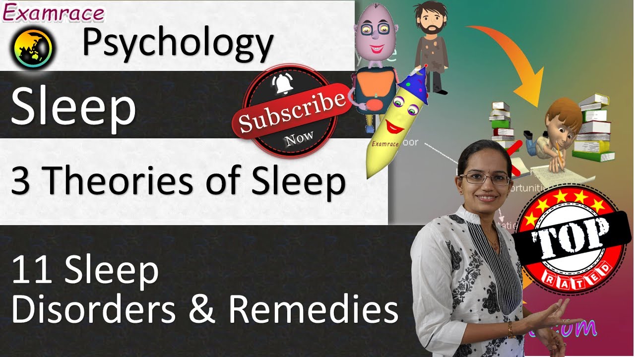 3 Theories of Sleep, 11 Sleep Disorders and Remedies (Psychology- Examrace)