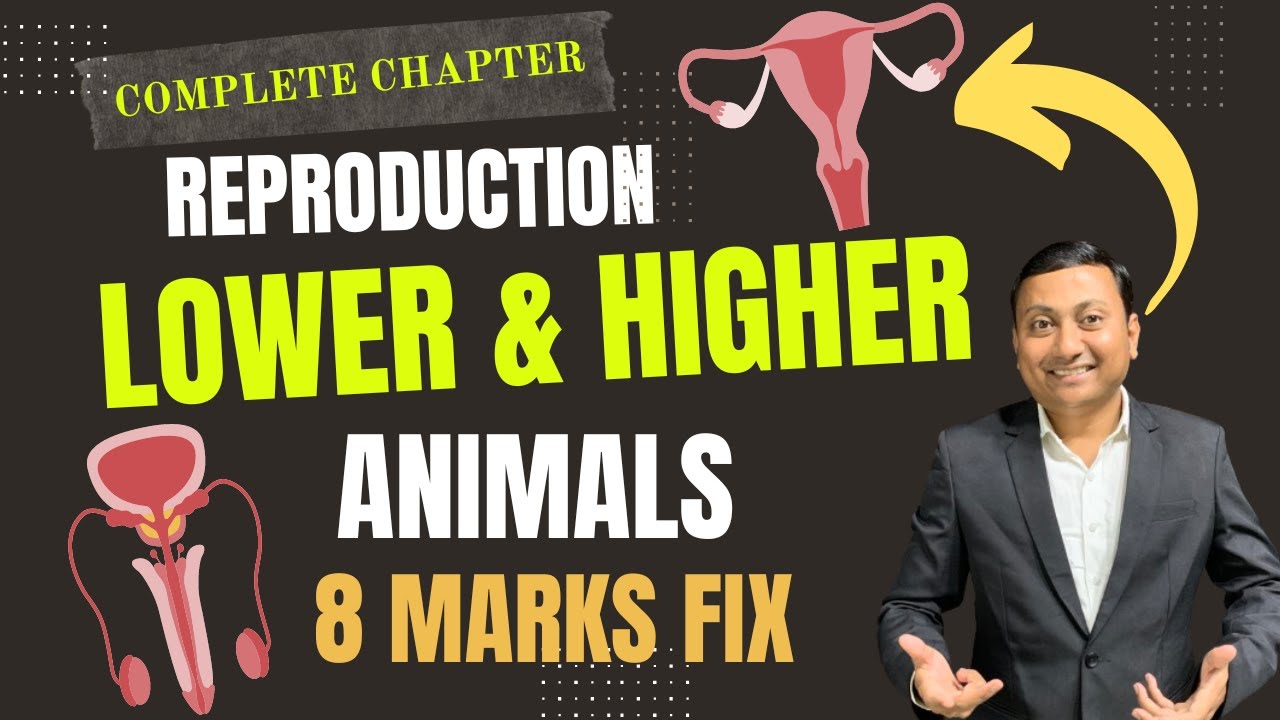 Reproduction in Lower and Higher Animals | complete Chapter | #biology #hscboard2026  #digambarmali