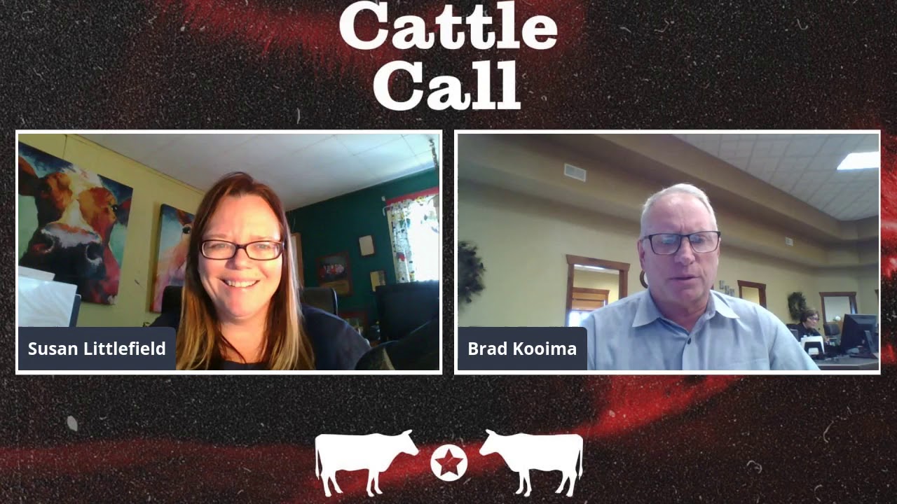 Cattle Call looks at high feed prices