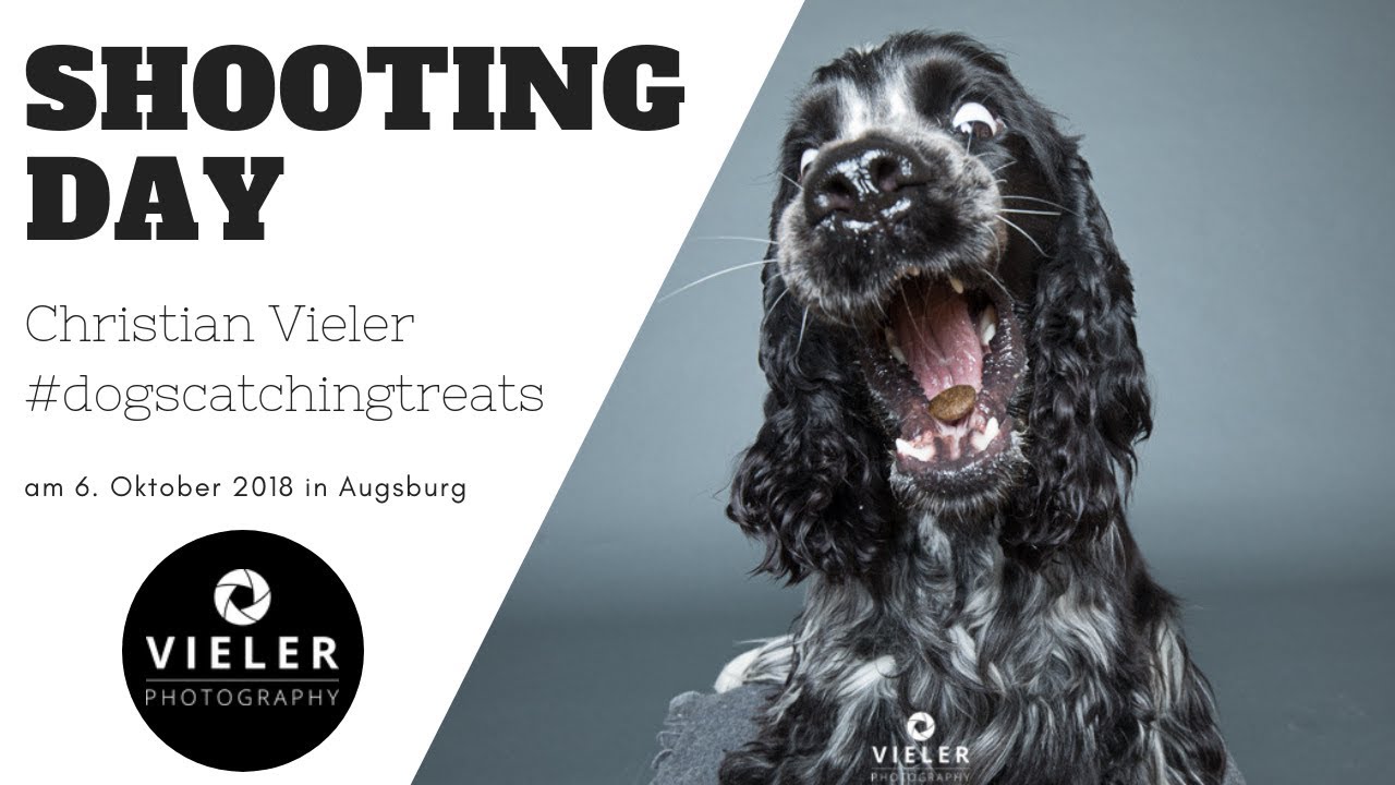 VLOG: Shooting bei Vieler Photography #dogscatchingtreats