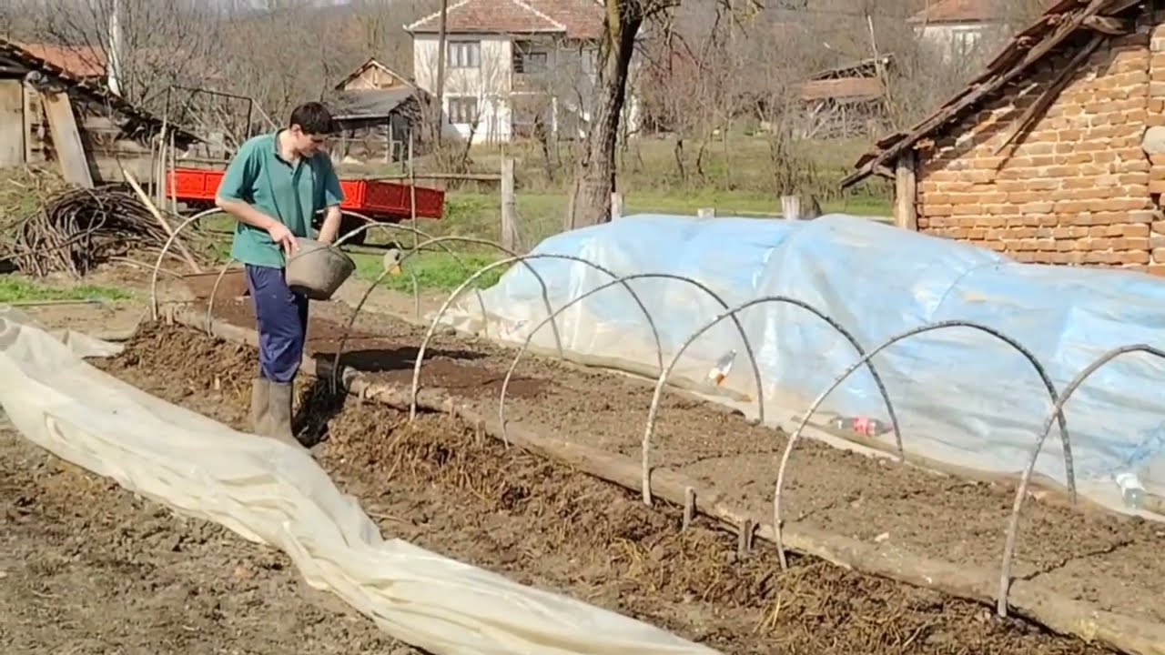 PRAVLJENJE LEJA ZA RASAD