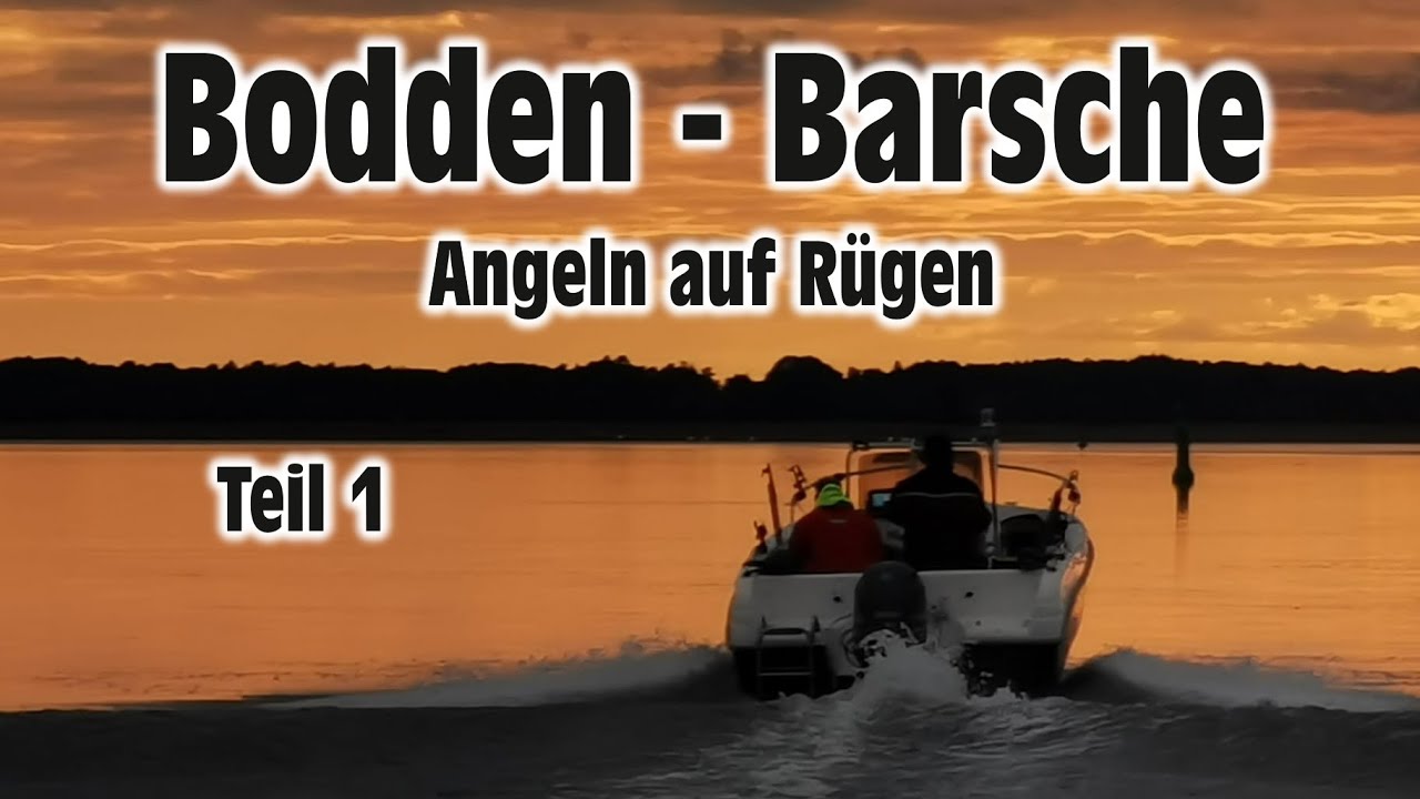 Bodden - Barsche, Angeln auf Rügen, Teil 1