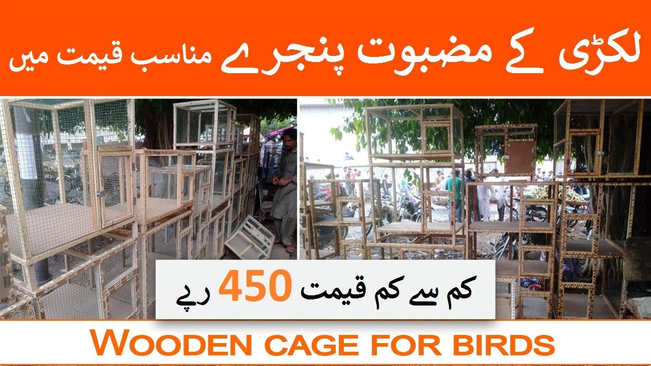 Wooden Cage Shop in Lalukhet Birds Market | Cage Shop in Karachi | Danish Ahmed Vlogs